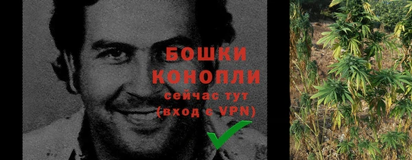 2c-b Богородицк